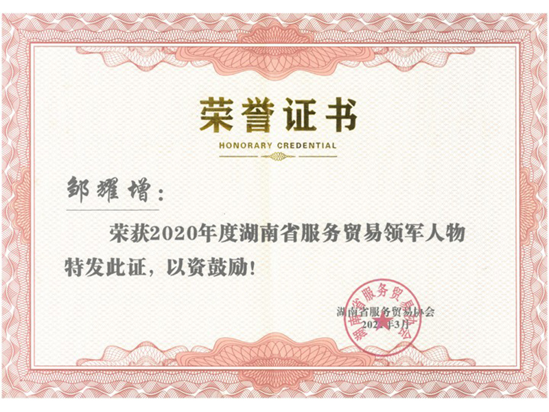 2020年度湖南省服務(wù)貿(mào)易領(lǐng)軍人物